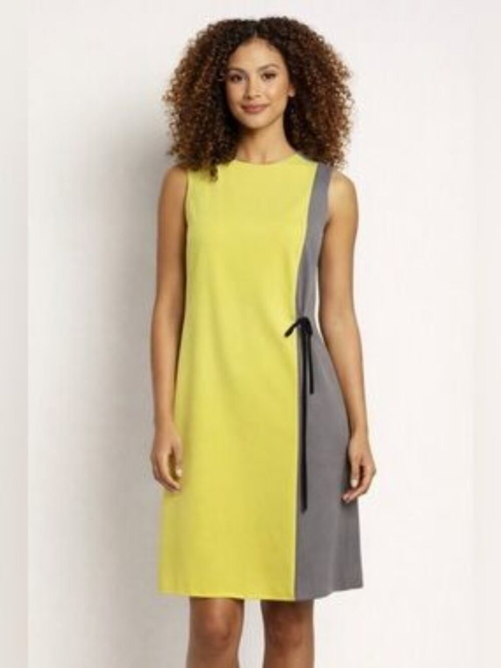 Tahari Shift Dress Block Colors